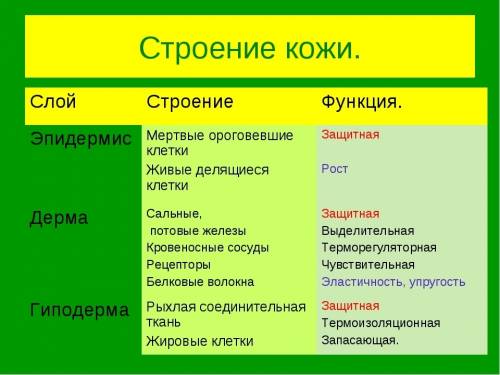 Билет № 13 1. раскройте планетарное значение растений. 2. какие особенности пищеварения в ротовой по