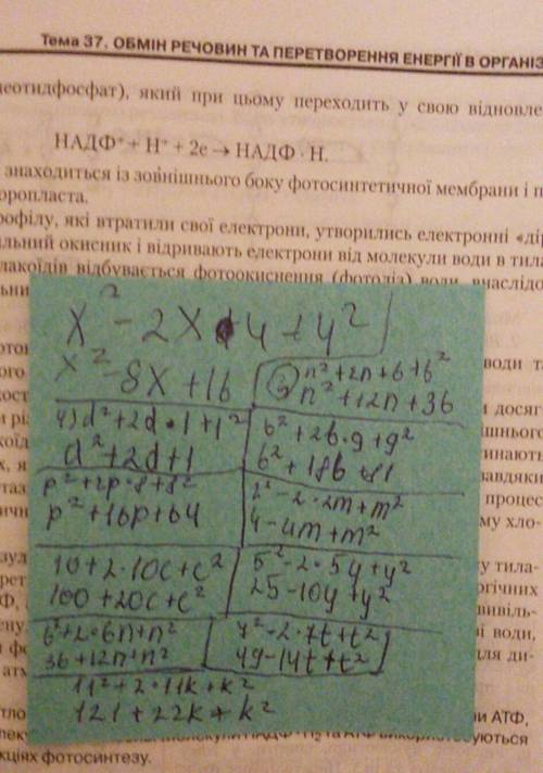 1)(a+3)²= 2)(x-4)²= 3)(n+6)²= 4)(d+1)²= 5)(b-9)²= 6)(p+8)²= 7)(2-m)²= 8)(10+c)²= 9)(5-y)²= 10)(6+n)²