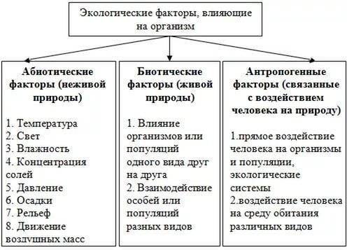 Примеры биотические и абиотических факров