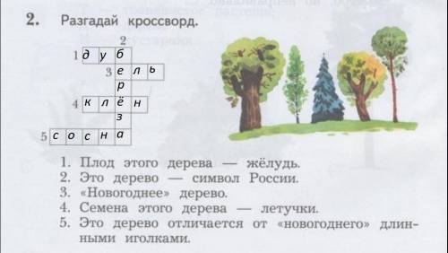 Разгадай кроссворд 1 )плод этого дерева- желудь 2)это дерево символ россии 3 )новогоднее дерево 4) с