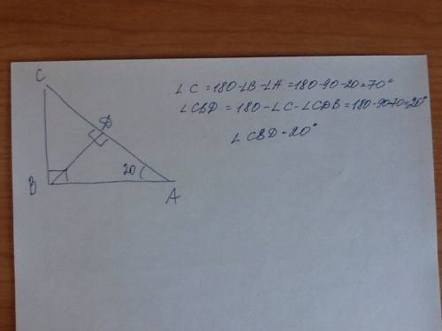 Втреугольнике abc угол b равен 90 градусов угол a 20 градусов bd пераендикулярно ac найдите угол cbd