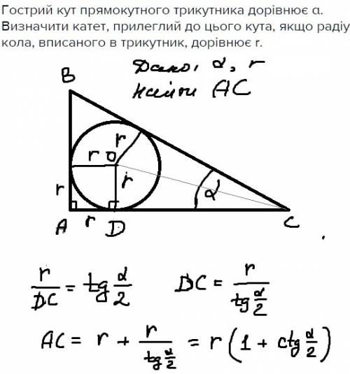 Гострий кут прямокутного трикутника дорівнює α. визначити катет, прилеглий до цього кута, якщо радіу