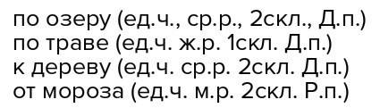 Определи число род скланение и падеж существительных плавает по озеру бежит по траве подбегает к дер