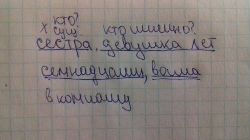 Как подчеркнуть обособленные члены : сестра,девушка семнадцати лет,вошла в комнату