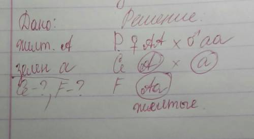 Решить : 1.при скрещивание двух видов сорта гороха,желтого и зеленого цвета семян,в первом поколении