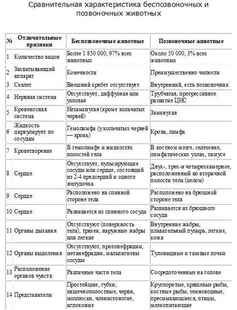 Составьте таблицу , содержащую информацию об отличных свойствах позвоночных и беспозвоночных животны