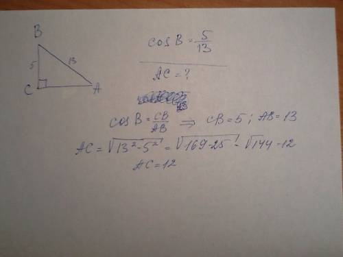 Втреугольнике abc , угол с =90* , cos b=пять тринадцатых. найти ас