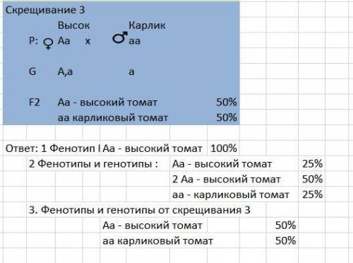 Утоматів ген нормального росту домінує над геном карликовості .якого росту будуть потомки f1 від схр