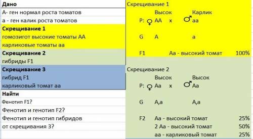 Утоматів ген нормального росту домінує над геном карликовості .якого росту будуть потомки f1 від схр