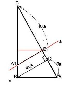Впрямоугольном треугольнике abc ( b=90°) отрезок bd-высота, проведённая к стороне ac, ad: dc=9: 40,