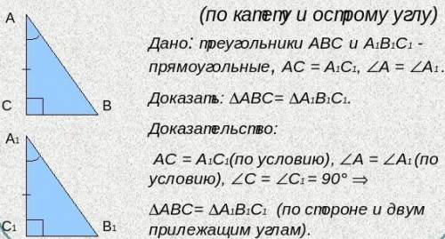 Доказать признак равенства прямоугольных треугольников по катету и прилежащему острому углу