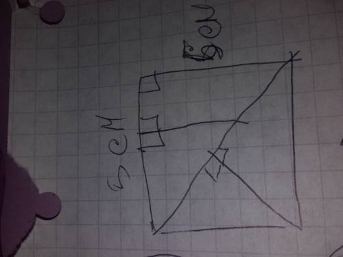 1) начерти квадрат со стороной 5 см. проведи в нем один отрезок так чтобы получилось 2 равных треуго