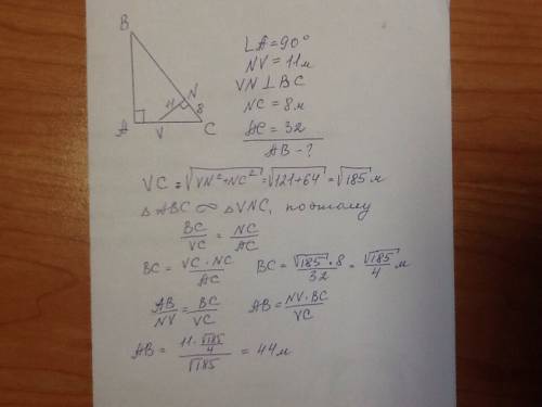 Решите дан прямоугольный треугольник abc. ∢a=90°,vn⊥bc, nv=11 м, nc=8 м, ac=32 м. вычисли ab.