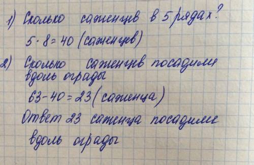 Весной посадили 5 рядов рассады в каждом из которых по 8 саженцев и ещё несколько вдоль ограды всего