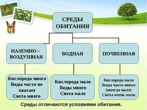 При организмов для жизни в наземно-воздушной,водной и почвенной средах