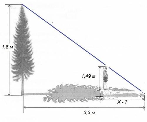 Как-то вечером, девочка захотела узнать какой длины будет тень от дерева во дворе. длина тени оказал