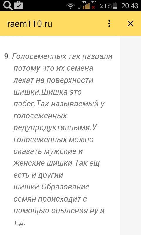 Что такое шишка. как называются шиловидные листья голосеменных