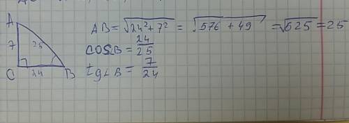 Впрямоугольном треугольнике abc угла с=90°,ас=7 см , вс= 24 см . найдите косинус и тангенс угла в