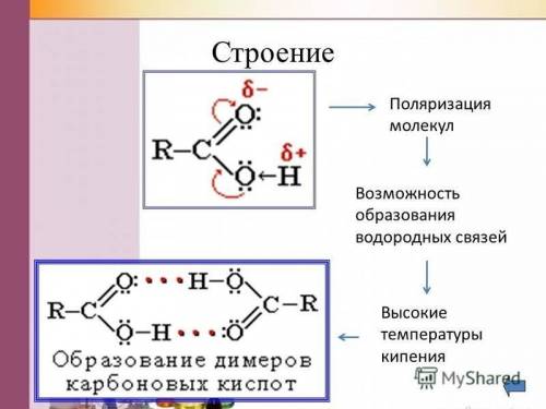 Охарактерезуйте строение молекулы аминоуксусной кислоты