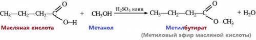 Напишите уравнения добычи метилбутаноат(метиловый естер масляной кислоты)