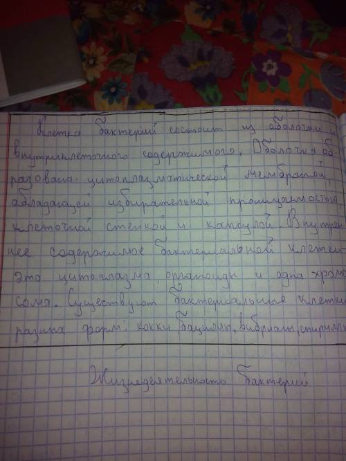 Царство бактерий, особенности строения и жизнедеятельности. бактериальные заболевания, их профилакти