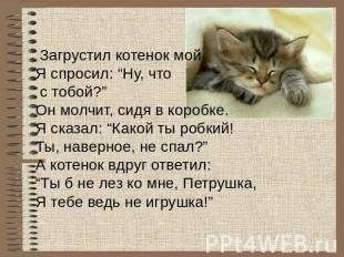 Сочинение на тему шуточная по кота