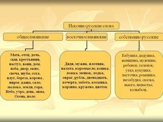 50 написать небольшое сообщение происхождение лексики языка