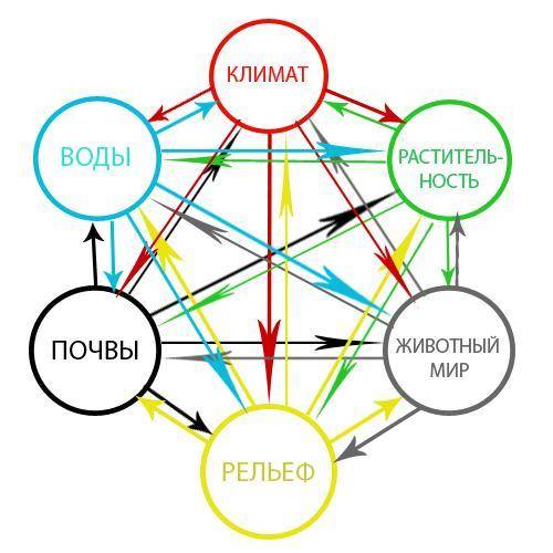 Составьте схему взаимосвязей между компонентами природного комплекса.