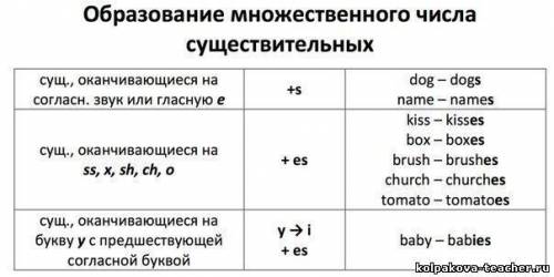 Язык множественом и еднственое число