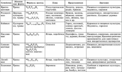 Таблица по семейства однодольные однодольные: названия, формула, рисунок, плод, значения