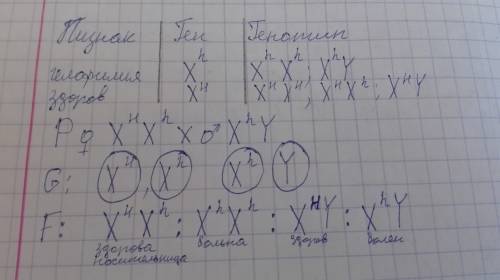 Классическая гемофилия наследуется как рецессивный сцепленный с x хромосомой признак.мужчина больной