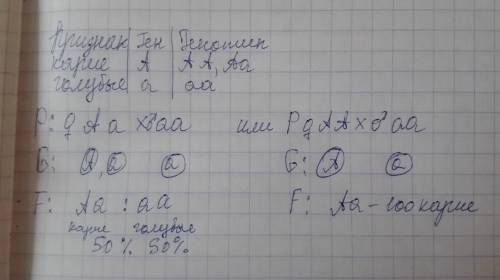 Учеловека карие глаза - доминантный признак, голубые глаза - рецессивный. какие глаза будут у детей