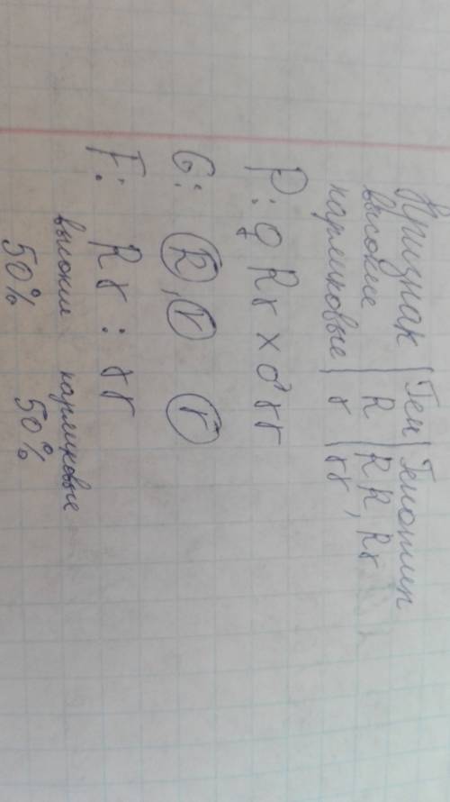 Утоматов ген ,что обусловливает нормальный рост (r) , доминирует над геном карликовости (r) .каким б