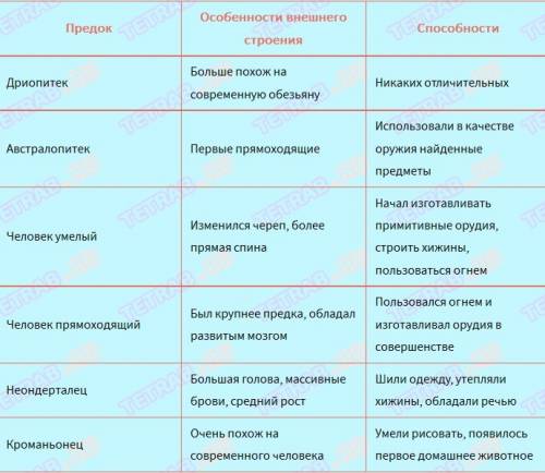 Информация о ардипитеке,австралопитеки,неандертальце,кроманьонце. только что делали и как