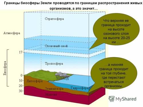 1)какая живая оболочка земли-биосфера-связана с другими её оболочками-атмосферой,гидросферой,литосфе