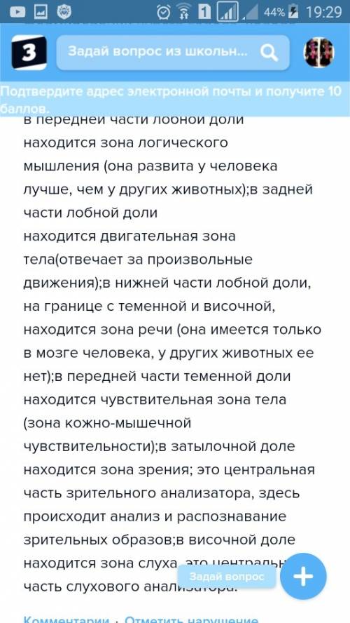 Головной мозг человека состоит из нескольких отделов. продолжением спинного мозга является ). в нем