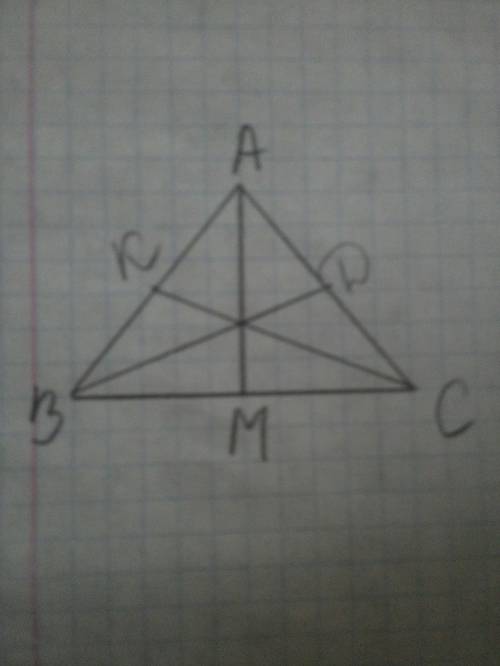 Начертите треугольник авс. постройте его: 1) высоту ам; 2) мидиану вd; 3) биссектрису ск.