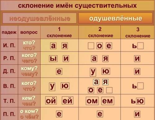 Какие особенности падежных окончаний имеет имя существительное 1, 2, 3 склонения? !