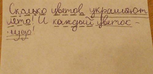 Сколько цветов украшают лето! и каждый цветок-чудо! подчеркнуть члены предложения