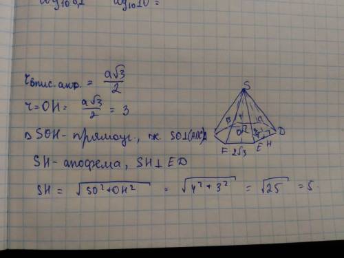 Высота правильной шестиугольной пирамиды равна 4,а сторона основания равна 2 корня из 3.найдите длин