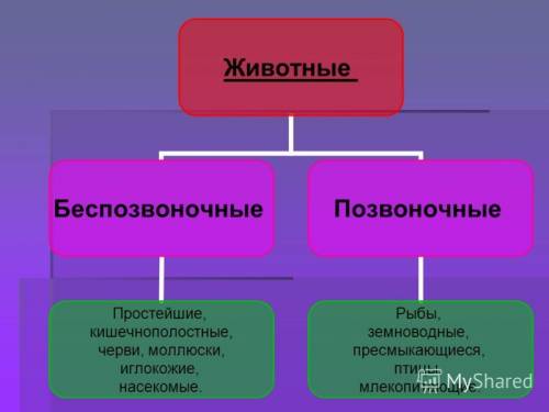 Заполните таблицу без позвоночник животные