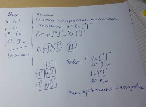 Положительный резус-фактор r доминирует над отрицательным r. у матери четвертая группа крови и отриц