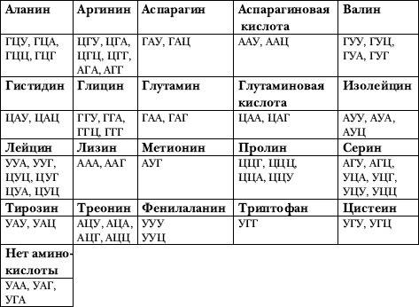 Биосинтез белка: о.днк ага атг гга цгц тац о.днк тац гцц таа цта ацг