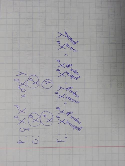 Какое потомство можно ожидать семье если женщина носительница гена дальтонизма выйдет замуж за за му