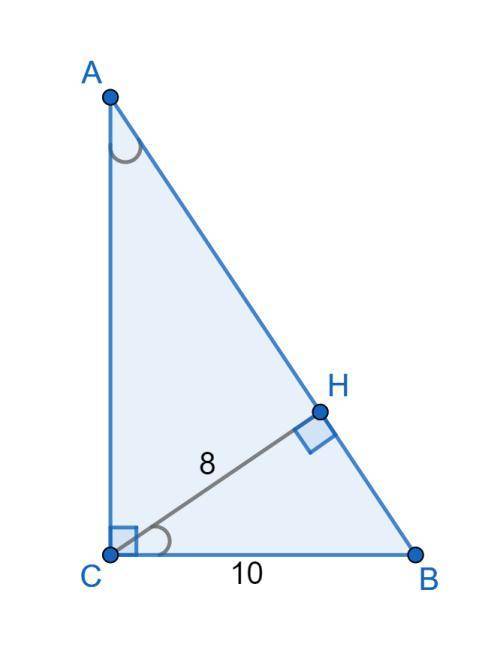 Втреугольнике авс угол с равен 90 градусов, высота сн равна 8, катет вс равен 10. найдите тангенс уг
