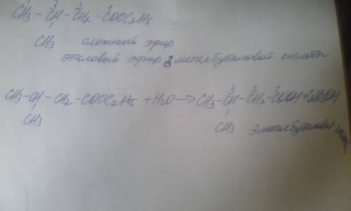 Назовите исходное вещество и кислоту,являющуюся продуктом следующей реакции (ch3)2chch2cooc2h5——>