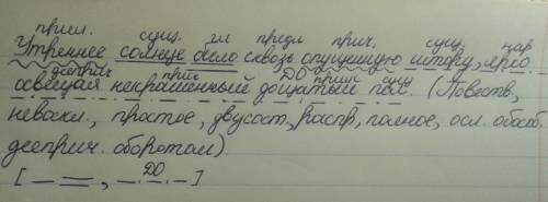 Синтаксичекий разбор утренне солнце было сквозь опущенную штору ,ярко освещая некрашенный дощатный п