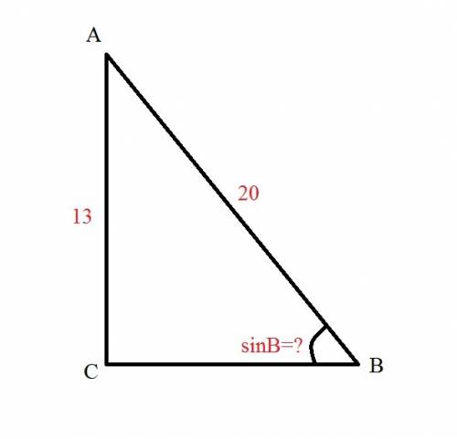 Втреугольнике авс с равен 90 градусов, ас=13,ав=20.найдите sin b