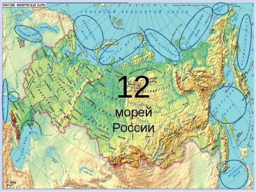 Моря каких океанов омывают берега россии?