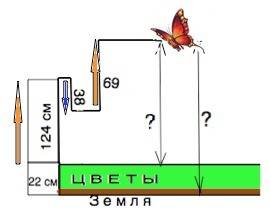Розвязок і бабка піднялася на 124 см над квітками на галявині .згодом вона опустилася на 38см а поті
